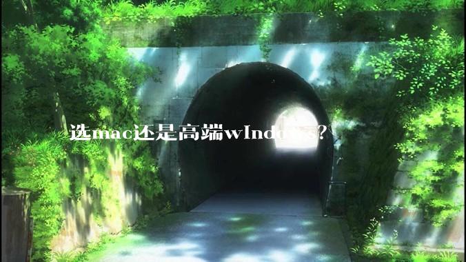 选mac还是高端windows？