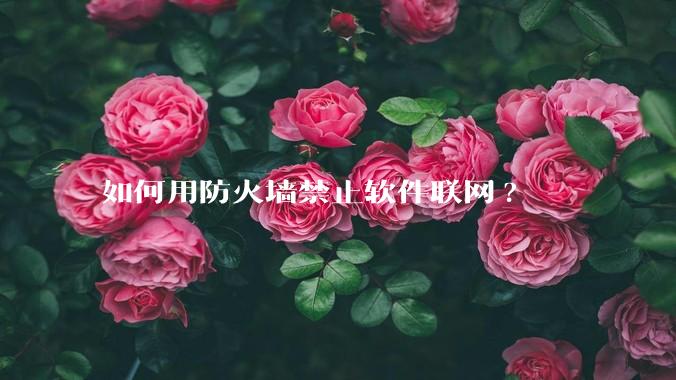 如何用防火墙禁止软件联网?