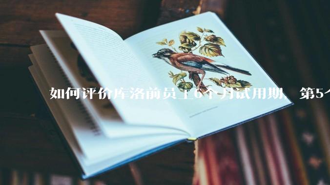 如何评价库洛前员工6个月试用期，第5个月29天被裁，还被追偿高额违约金，2年5次的仲裁/诉讼维权经历？