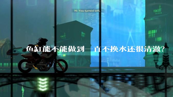鱼缸能不能做到一直不换水还很清澈？