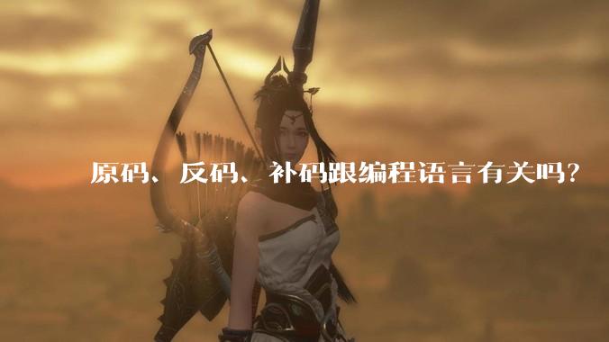 原码、反码、补码跟编程语言有关吗？