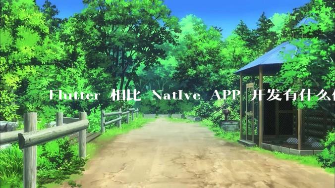 Flutter 相比 Native APP 开发有什么优势?