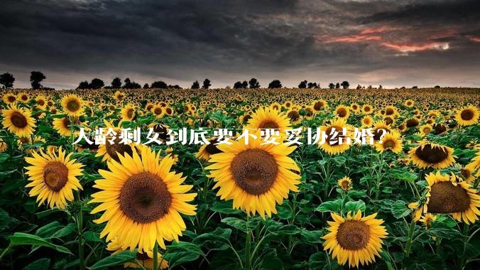 大龄剩女到底要不要妥协结婚？