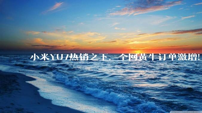 小米YU7热销之下，全网黄牛订单激增！ 小米是否已现泡泡玛特的Labubu式金融套利模型？