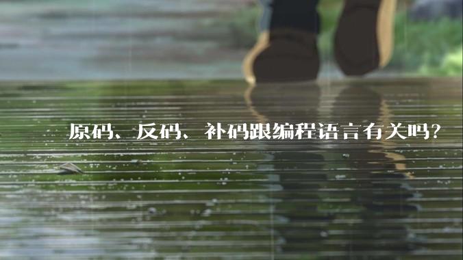 原码、反码、补码跟编程语言有关吗？
