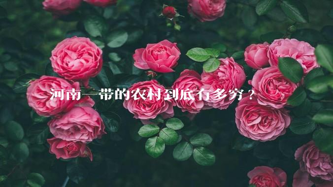 河南一带的农村到底有多穷?