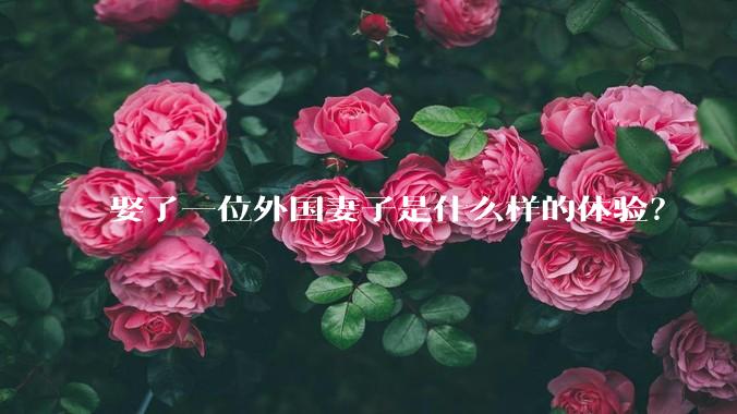 娶了一位外国妻子是什么样的体验？