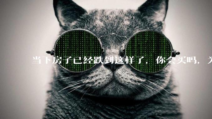 当下房子已经跌到这样了，你会买吗，为什么？