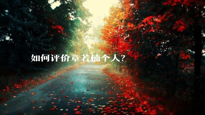 如何评价章若楠个人？