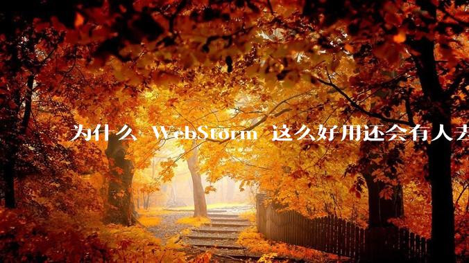 为什么 WebStorm 这么好用还会有人去用 VSCode？