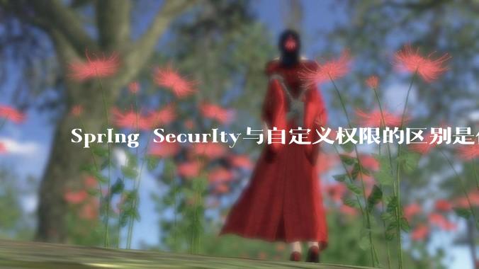 Spring Security与自定义权限的区别是什么？