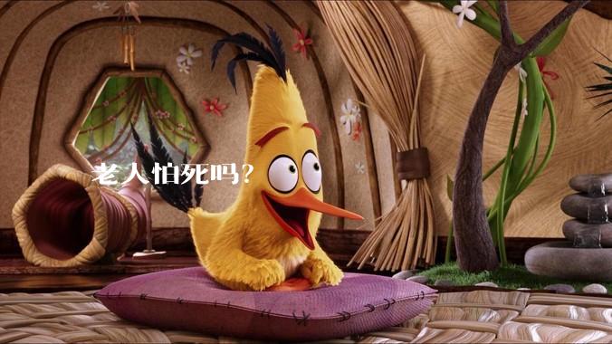 老人怕死吗？