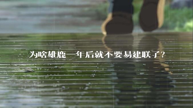 为啥雄鹿一年后就不要易建联了？