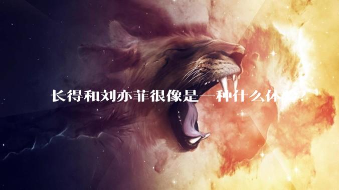 长得和刘亦菲很像是一种什么体验？