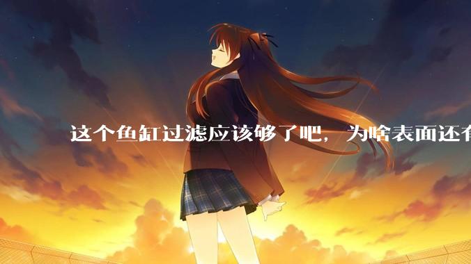 这个鱼缸过滤应该够了吧，为啥表面还有不少泡泡？