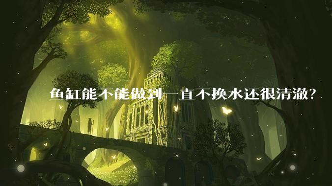 鱼缸能不能做到一直不换水还很清澈？
