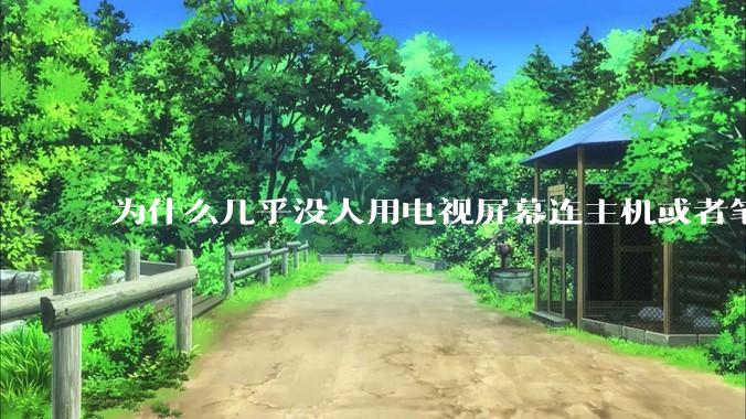 为什么几乎没人用电视屏幕连主机或者笔记本当显示器？