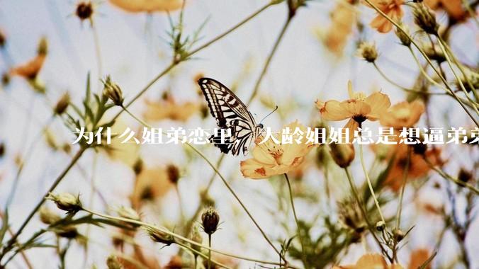 为什么姐弟恋里，大龄姐姐总是想逼弟弟上进？