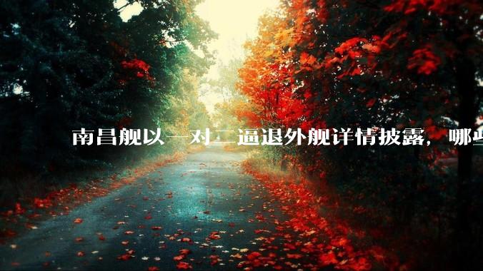 南昌舰以一对二逼退外舰详情披露，哪些内容值得关注？