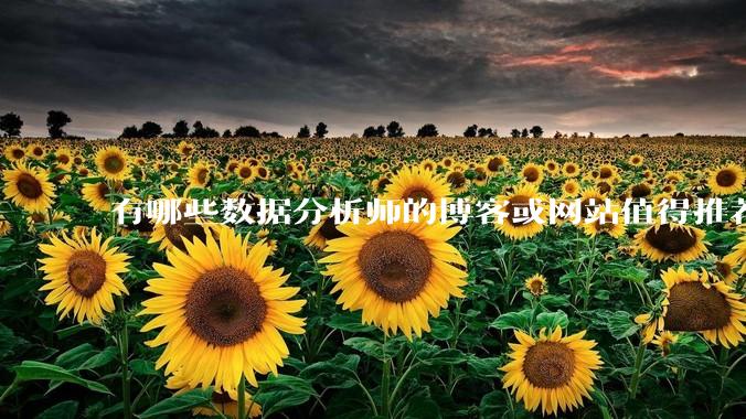 有哪些数据分析师的博客或网站值得推荐？