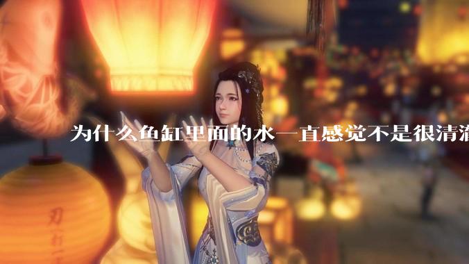 为什么鱼缸里面的水一直感觉不是很清澈呢？