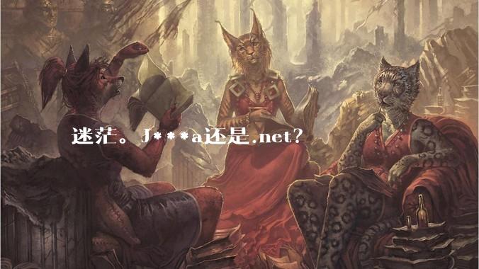 迷茫。J***a还是.net？
