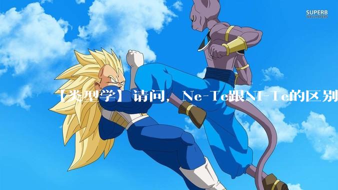 【类型学】请问，Ne-Te跟Ni-Te的区别是什么?