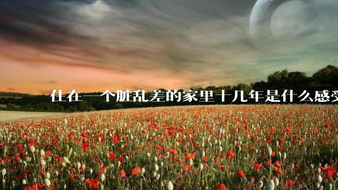 住在一个脏乱差的家里十几年是什么感受？