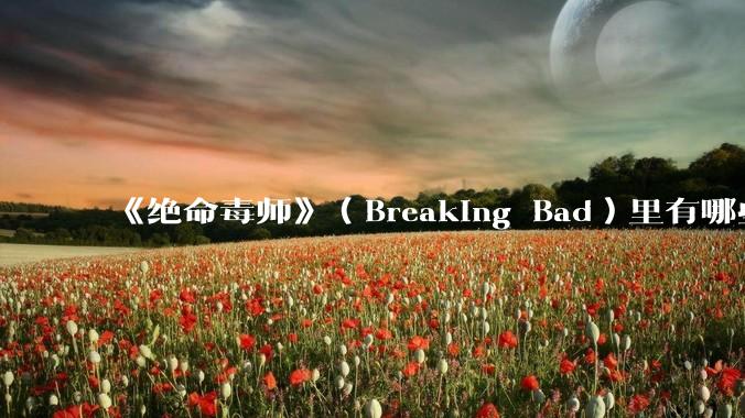 《绝命毒师》（Breaking Bad）里有哪些硬伤？