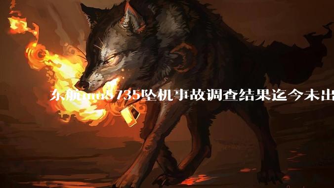 东航mu5735坠机事故调查结果迄今未出炉正常吗？为什么？