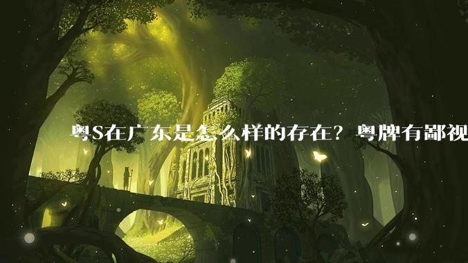 粤S在广东是怎么样的存在？粤牌有鄙视链吗？