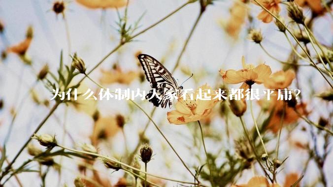 为什么体制内大家看起来都很平庸？