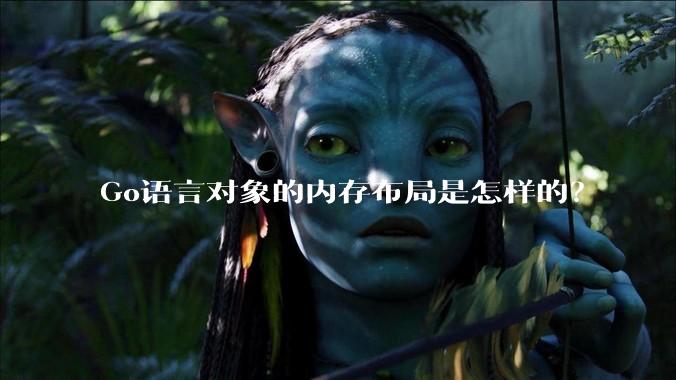 Go语言对象的内存布局是怎样的？