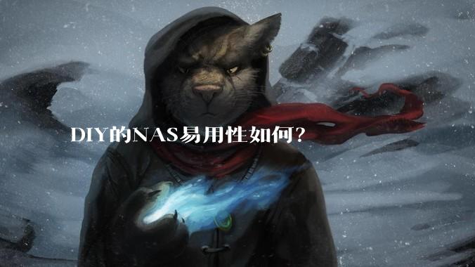 DIY的NAS易用性如何？