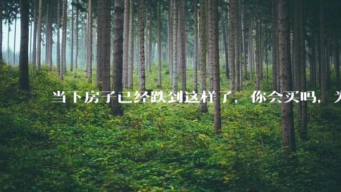 当下房子已经跌到这样了，你会买吗，为什么？