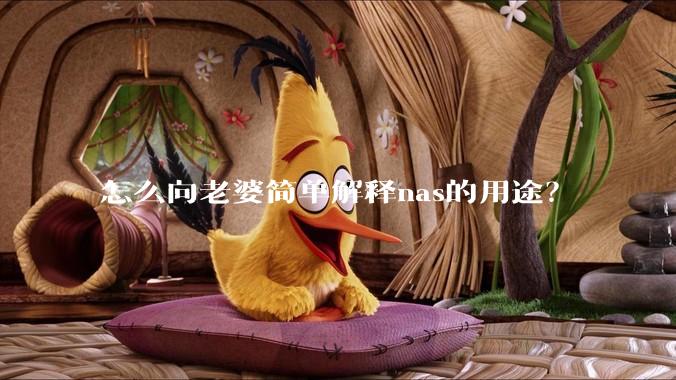 怎么向老婆简单解释nas的用途？