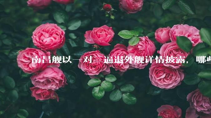 南昌舰以一对二逼退外舰详情披露，哪些内容值得关注？