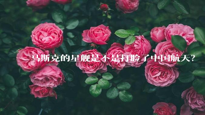 马斯克的星舰是不是打脸了中国航天？