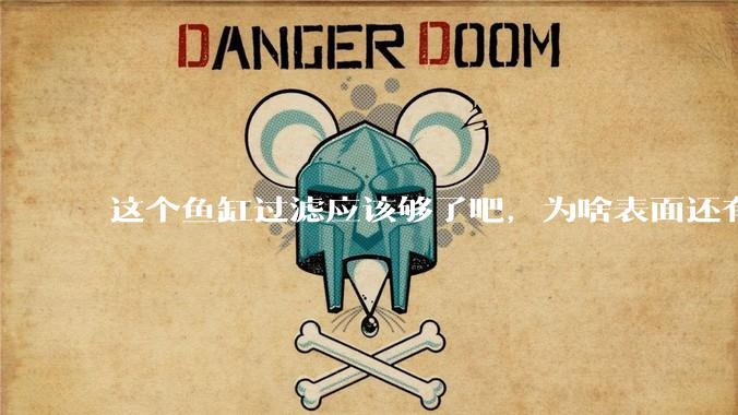 这个鱼缸过滤应该够了吧，为啥表面还有不少泡泡？