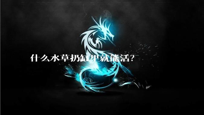 什么水草扔缸里就能活？