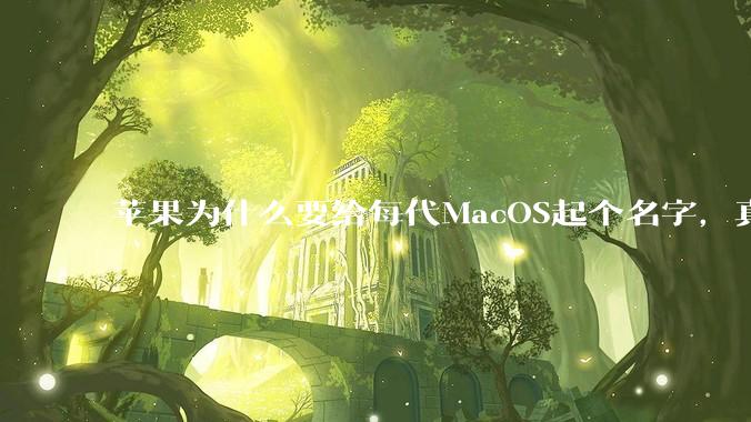 苹果为什么要给每代MacOS起个名字，真以为人们记得住分得清吗？