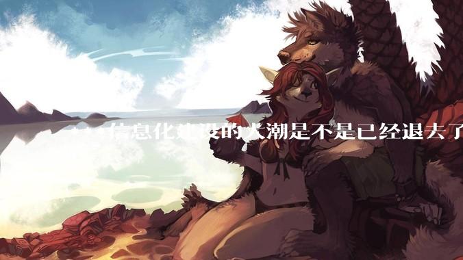 ***信息化建设的大潮是不是已经退去了？