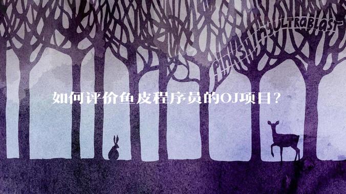 如何评价鱼皮程序员的OJ项目？