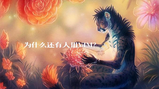 为什么还有人用VIM？
